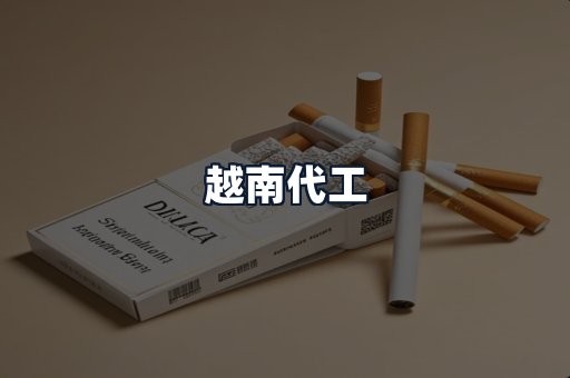 越南代工